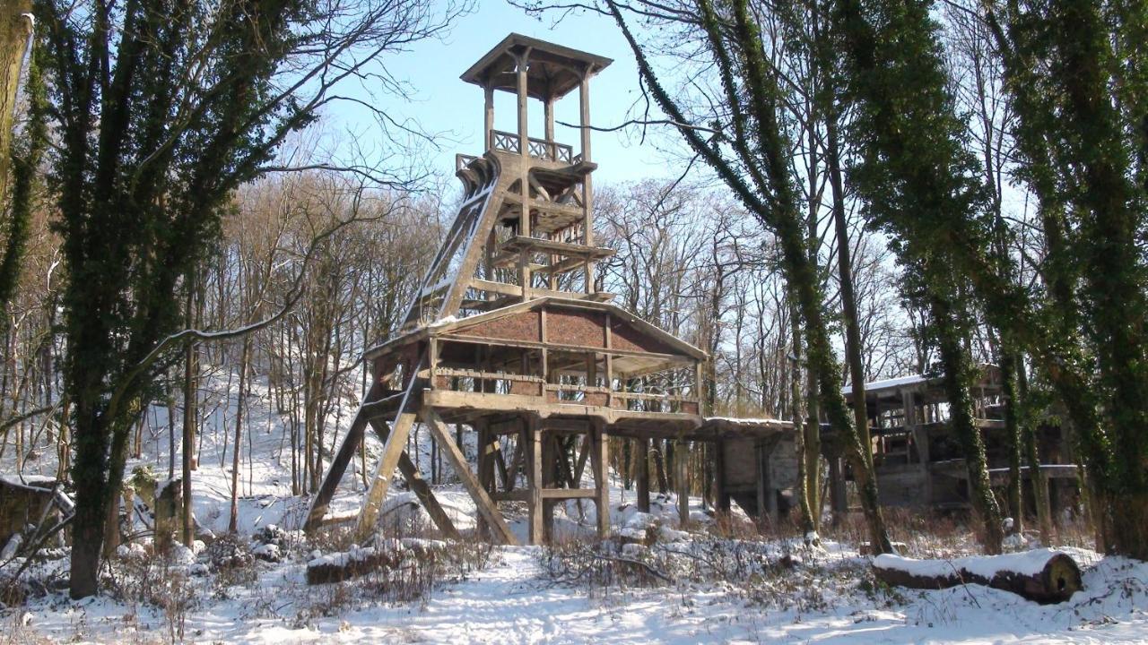 Le Cottage Quievrain エクステリア 写真