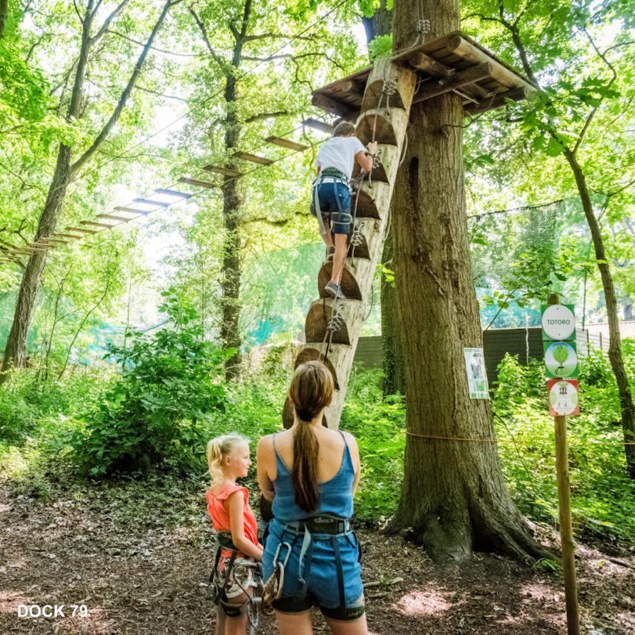 Le Cottage Quievrain エクステリア 写真